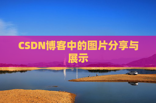 CSDN博客中的图片分享与展示